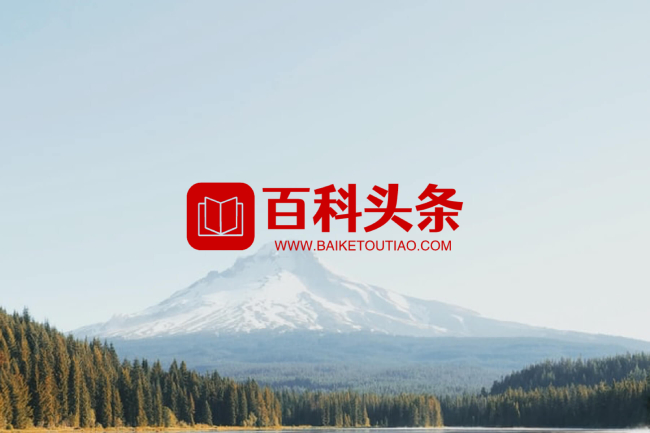 百科头条