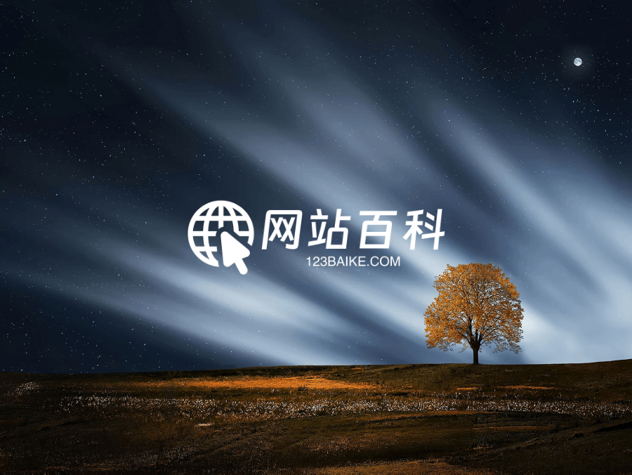 网站百科