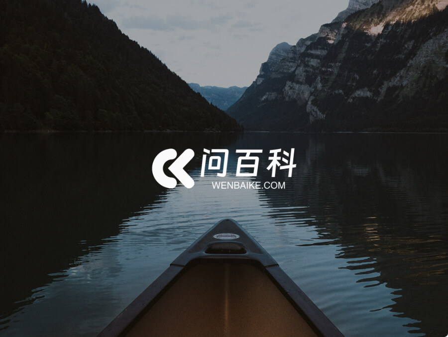 问百科