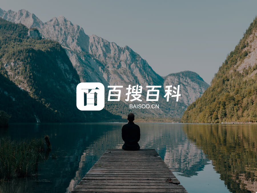 百搜百科