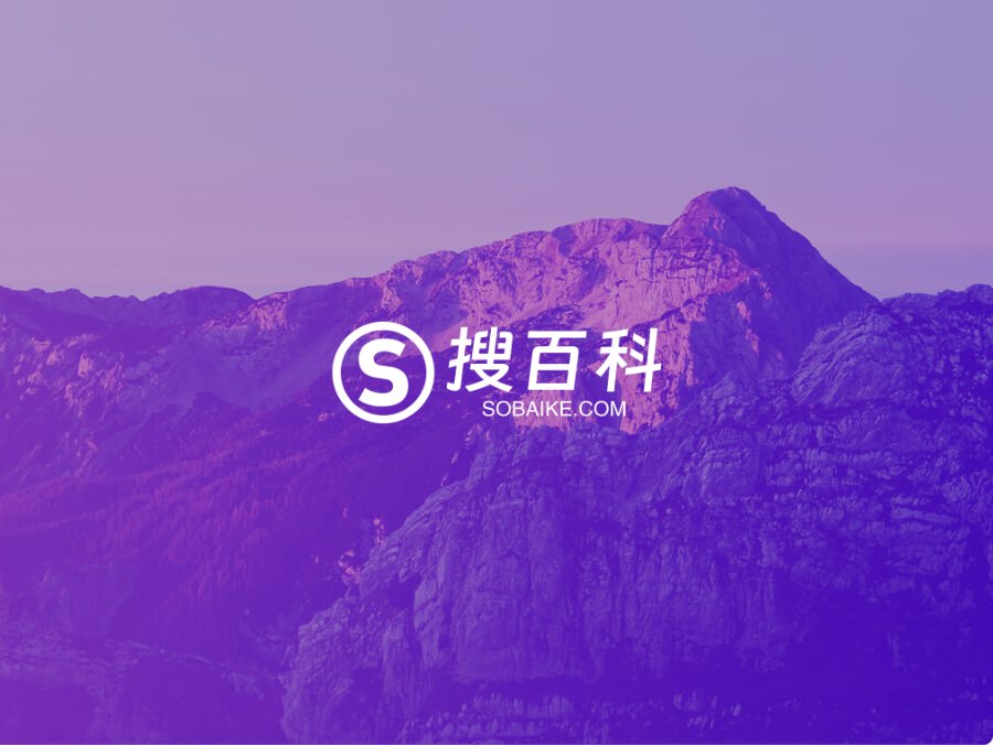 搜百科